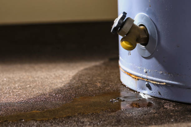 Best Carpet water damage restoration  in Wahoo, NE