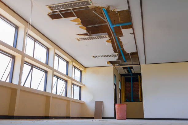 Best Sewage cleanup and water damage restoration  in Wahoo, NE