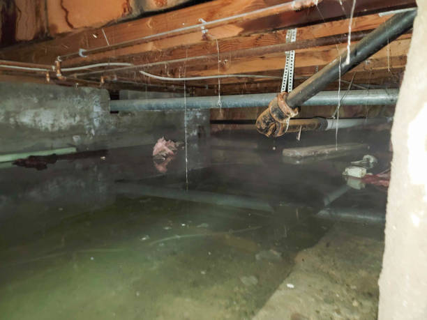 Best 24-hour water damage restoration  in Wahoo, NE