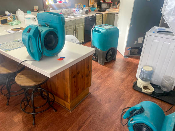 Best Basement water damage restoration  in Wahoo, NE