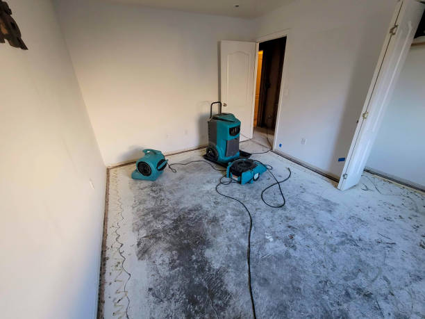 Best Fire Damage Restoration  in Wahoo, NE