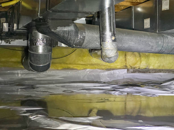 Best Emergency water extraction  in Wahoo, NE