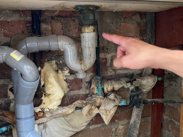 Best Mold removal after water damage  in Wahoo, NE