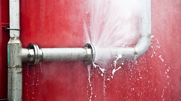 Best Commercial water damage restoration  in Wahoo, NE