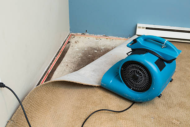 Wahoo, NE Water damage restoration Company